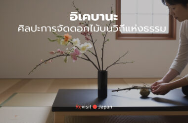 Japanese woman is aranging ikebana on the table.