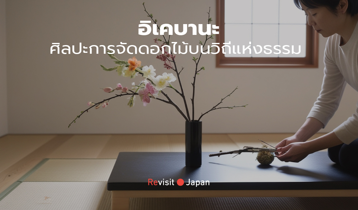 Japanese woman is aranging ikebana on the table.